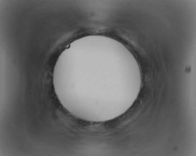 X0000094911447200712131442