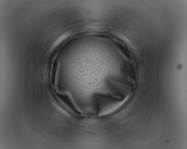 X0000094911450200712131442