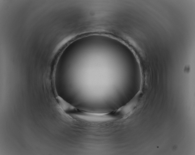 X0000094911452200712131442