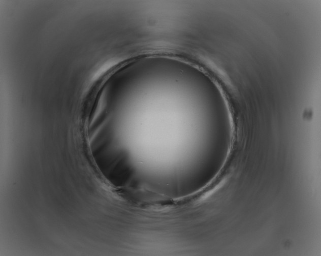 X0000094911453200712131442