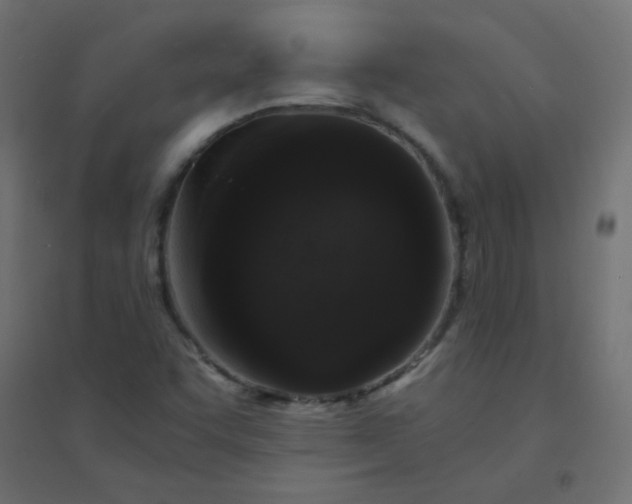 X0000094911455200712131442