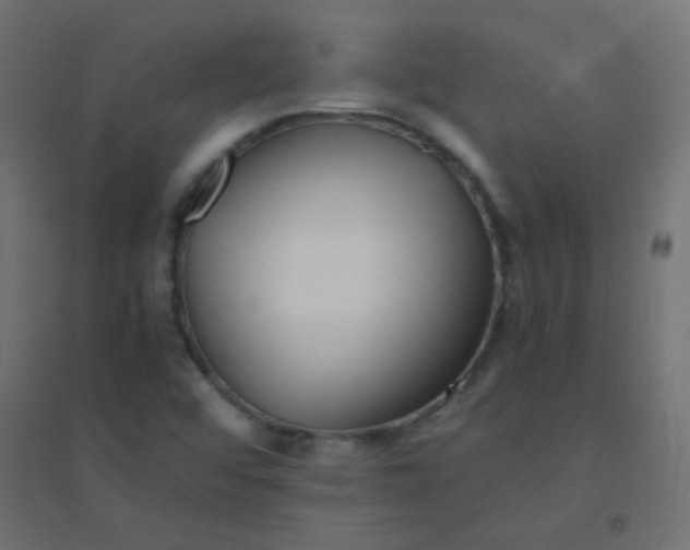X0000094911456200712131442