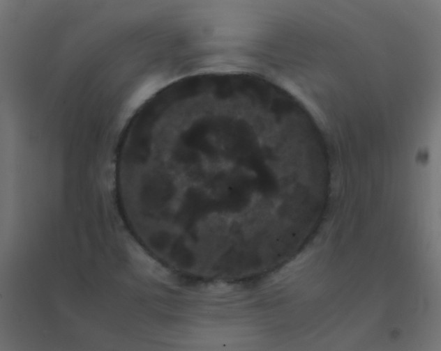 X0000094911459200712131442
