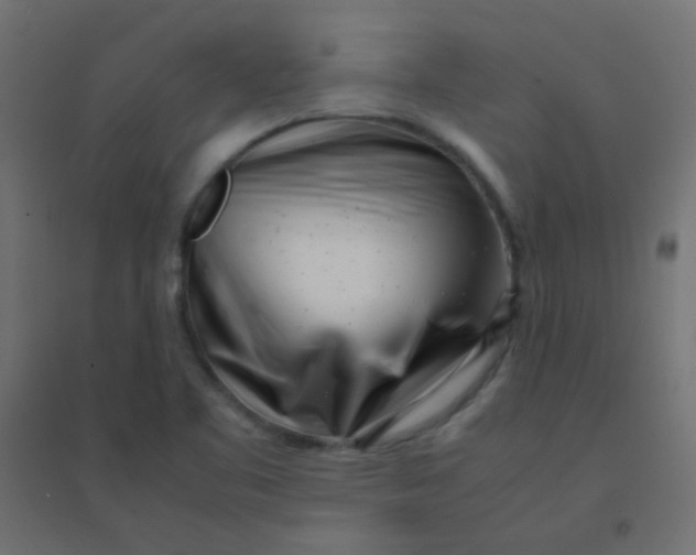 X0000094911461200712131442