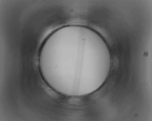X0000094911462200712131442