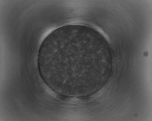 X0000094911463200712131442