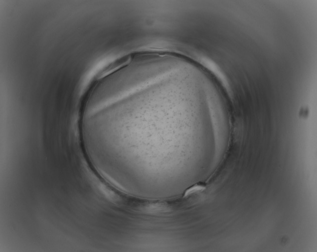 X0000094911464200712131442