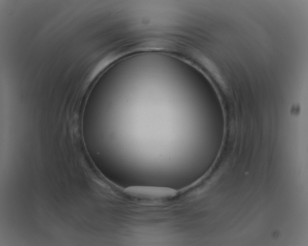 X0000094911465200712131442