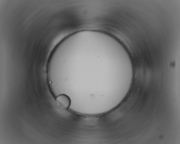 X0000094911466200712131442
