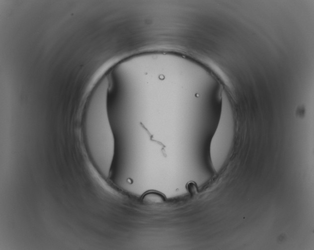 X0000094911468200712131442