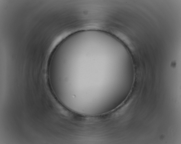 X0000094911469200712131442