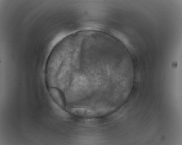 X0000094911471200712131442