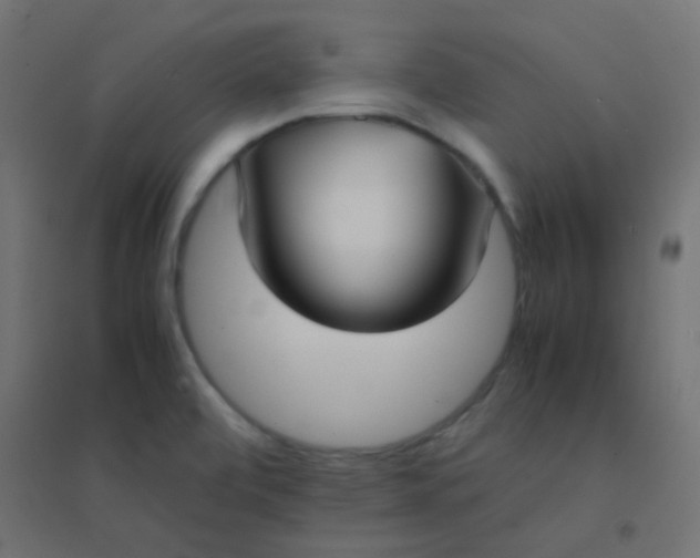 X0000094911472200712131442