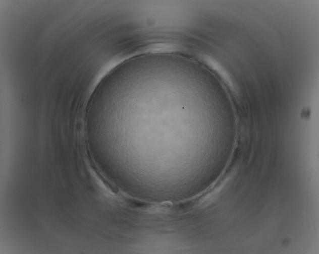 X0000094911473200712131442