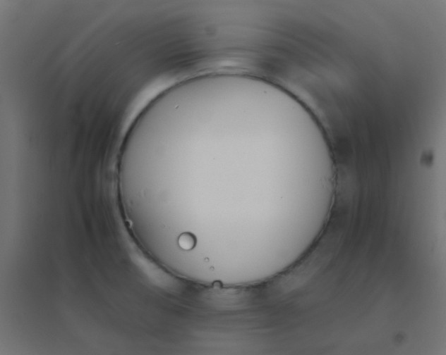 X0000094911474200712131442