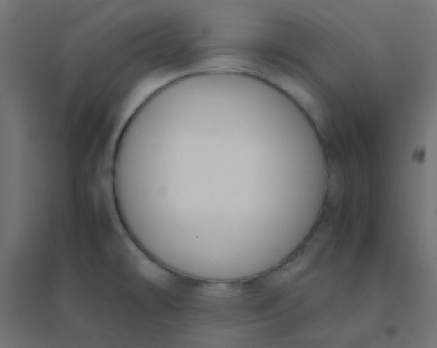 X0000094911478200712131442