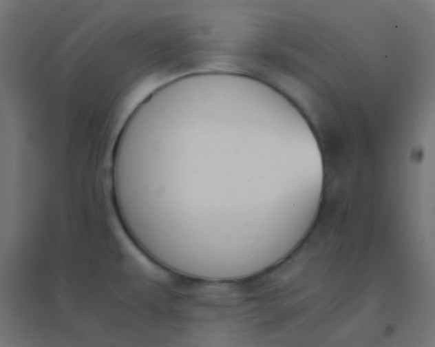 X0000094911479200712131442