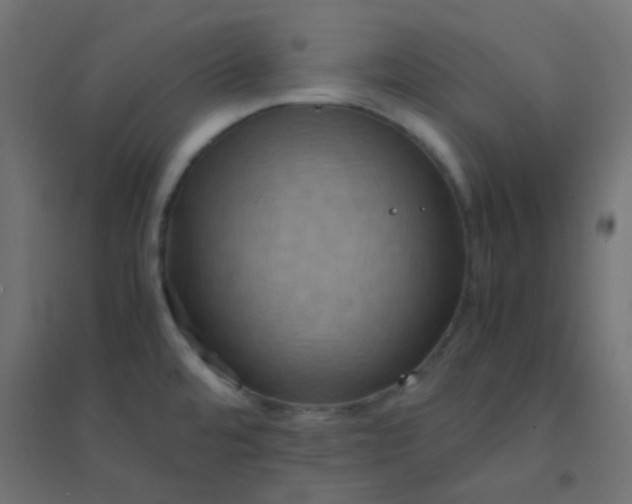 X0000094911480200712131442