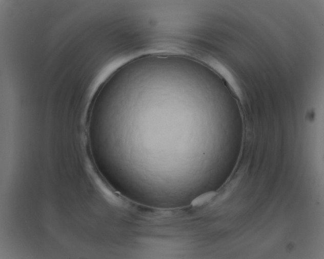 X0000094911485200712131442