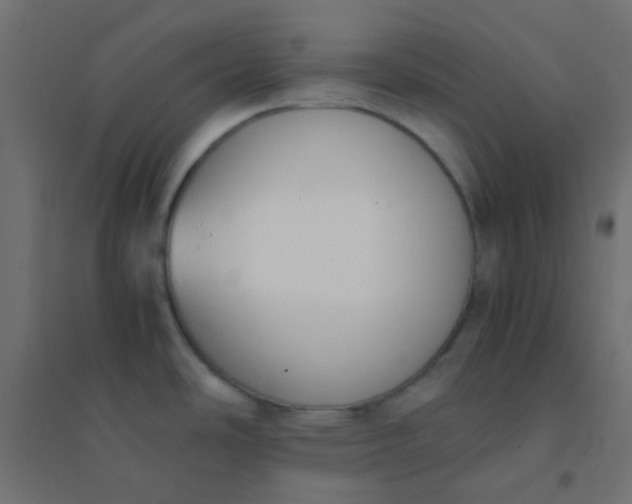 X0000094911486200712131442