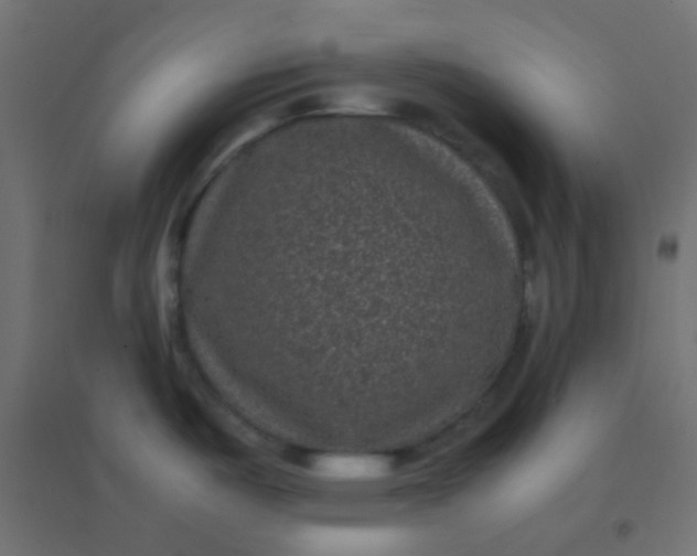 X0000094911487200712131441