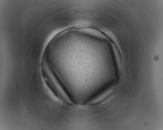 X0000094911488200712131441