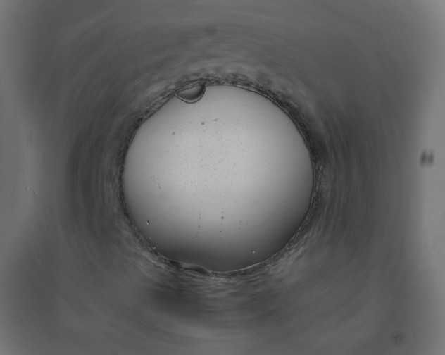 X0000094911489200712131441