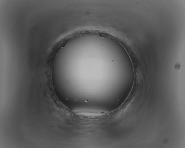 X0000094911494200712131441
