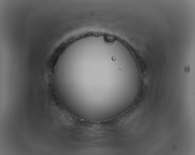 X0000094911495200712131441