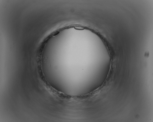 X0000094911496200712131441