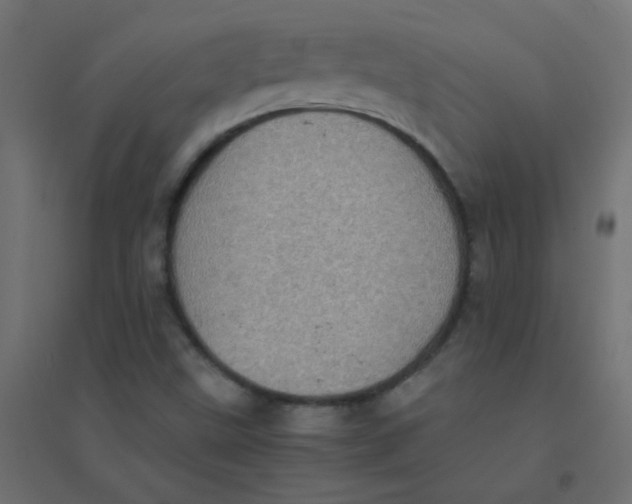 X0000094911499200712131441