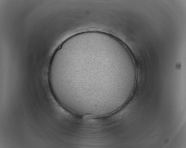 X0000094911500200712131441