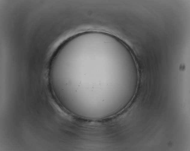 X0000094911503200712131441