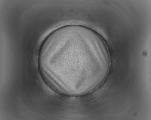 X0000094911504200712131441