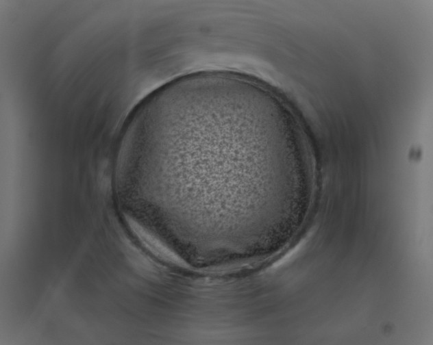 X0000094911505200712131441