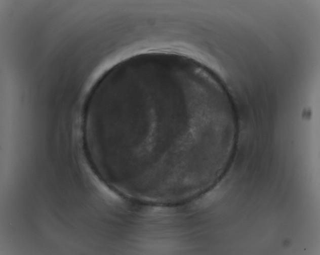 X0000094911506200712131441