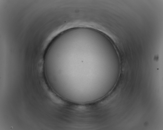 X0000094911507200712131441