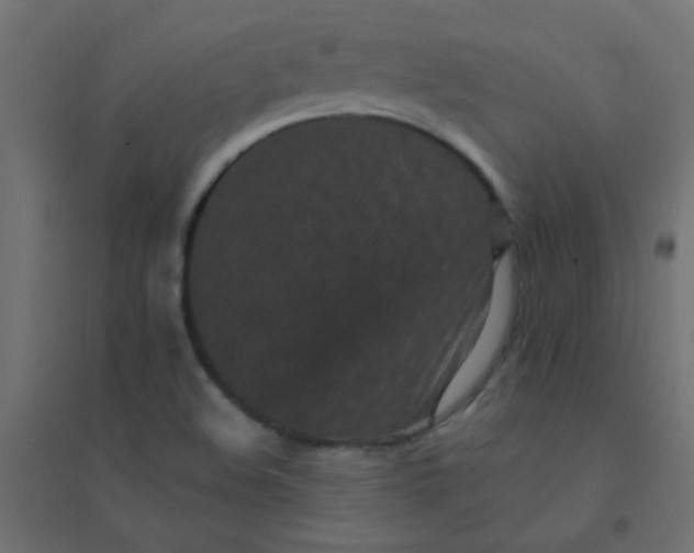 X0000094911508200712131441