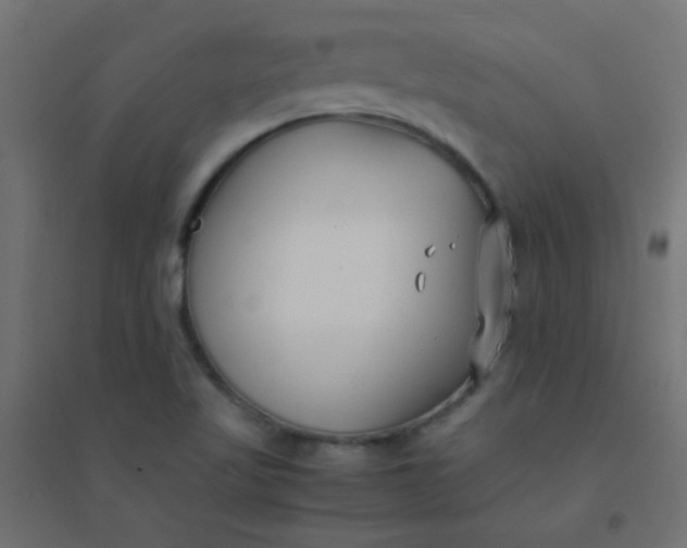 X0000094911509200712131441