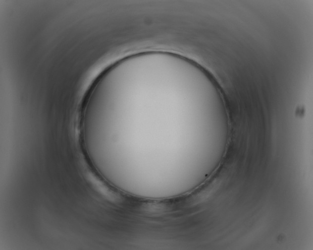 X0000094911511200712131441