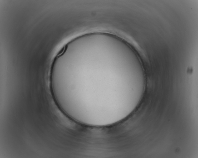 X0000094911512200712131441