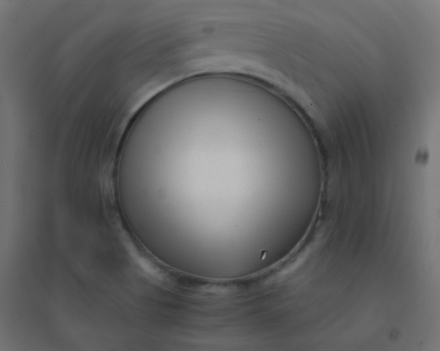 X0000094911513200712131441