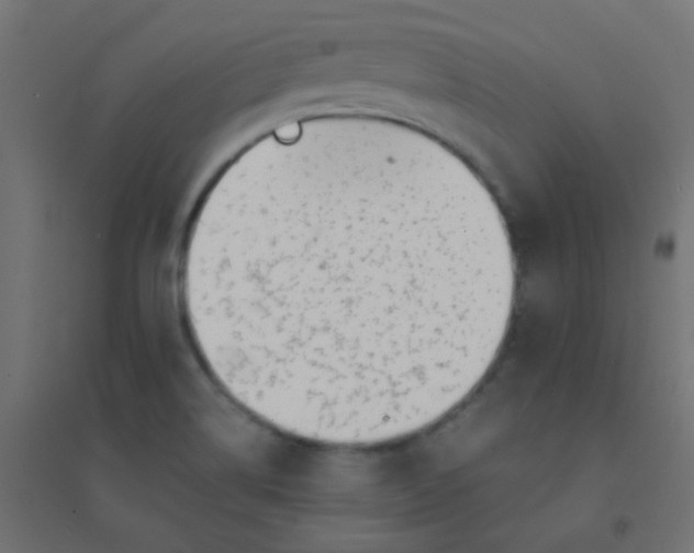 X0000094911514200712131441