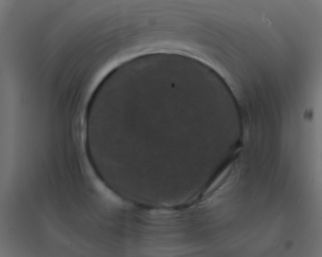 X0000094911515200712131441