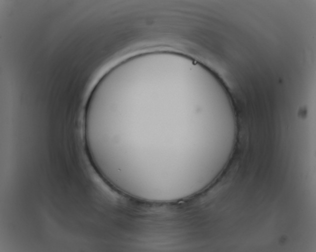 X0000094911516200712131441