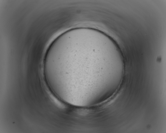 X0000094911517200712131441