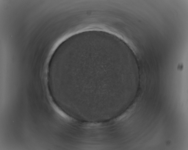 X0000094911519200712131441