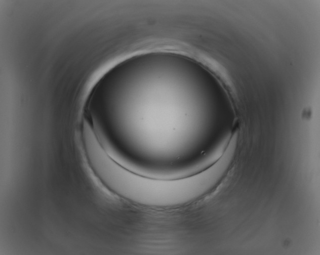 X0000094911520200712131441