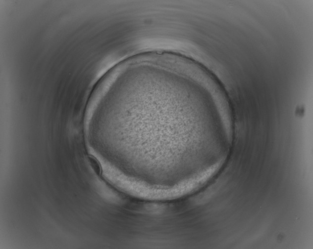 X0000094911521200712131441