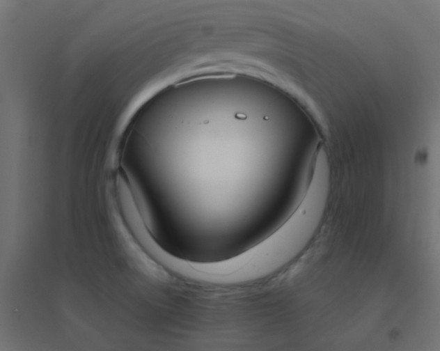 X0000094911522200712131441